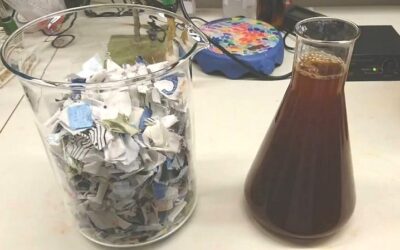 Reciclagem de algodão transforma roupas velhas em açúcar