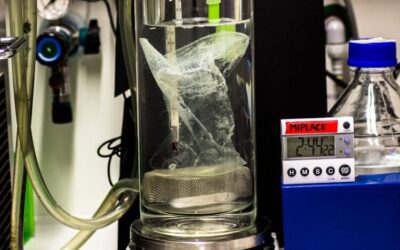 Cientistas alemães descobrem enzima que decompõe plástico em menos de um dia