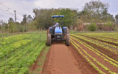 Centro de Estudos debate inovação no sistema produtivo agropecuário