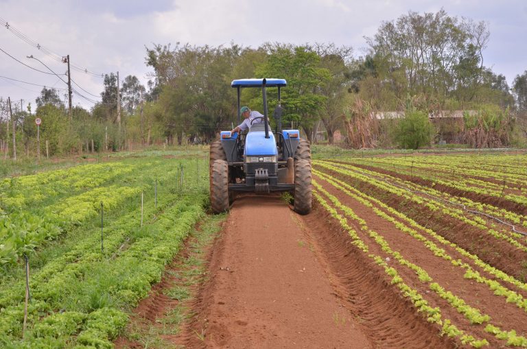 Centro de Estudos debate inovação no sistema produtivo agropecuário