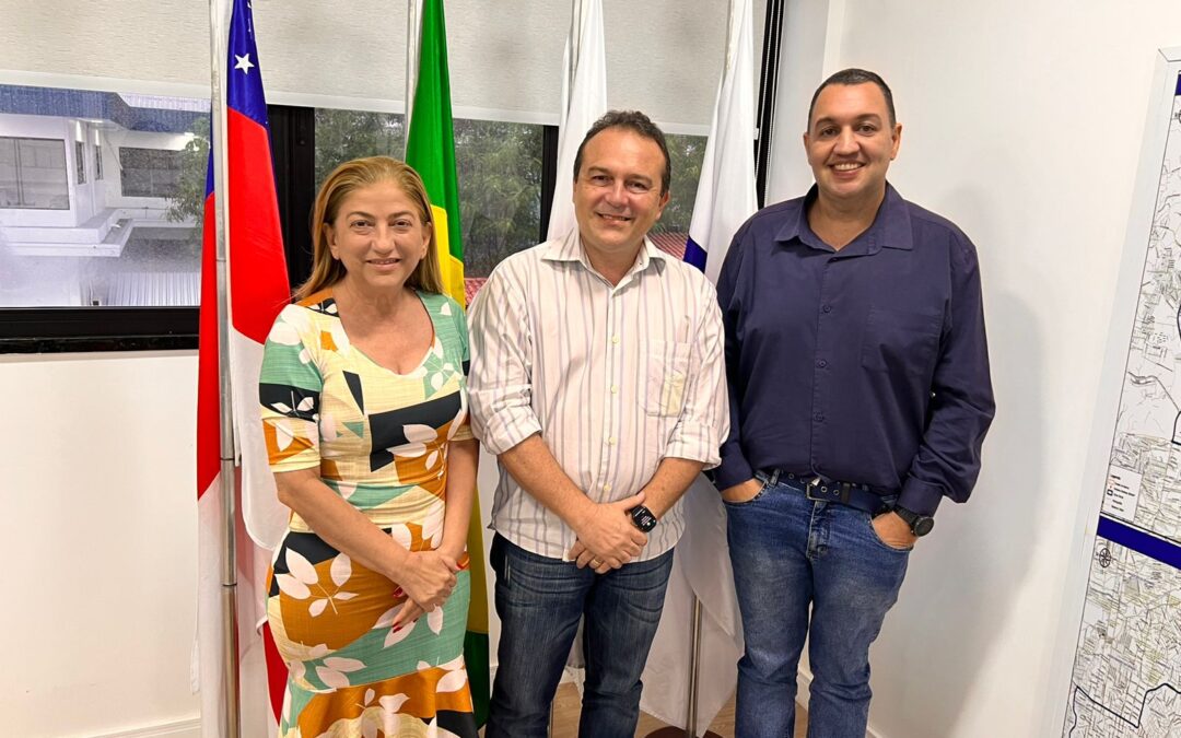 Câmara Especializada de Engenharia Civil (CEEC-AM) elege os coordenadores de 2023