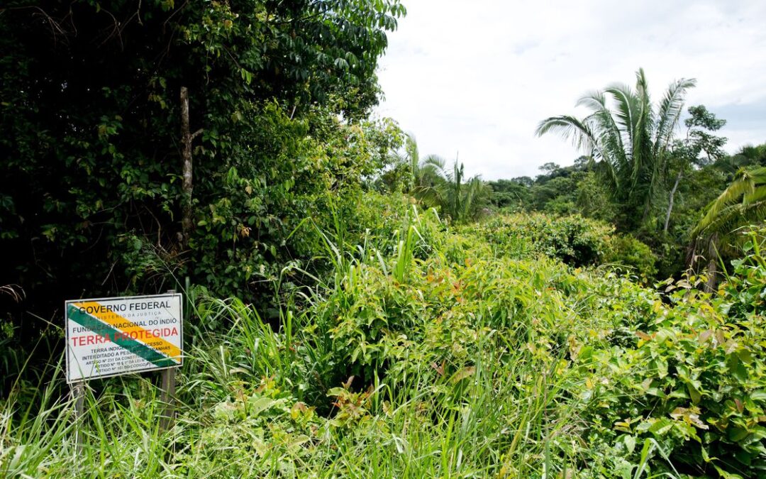 BNDES avalia concessão ambiental com pagamento para conservação