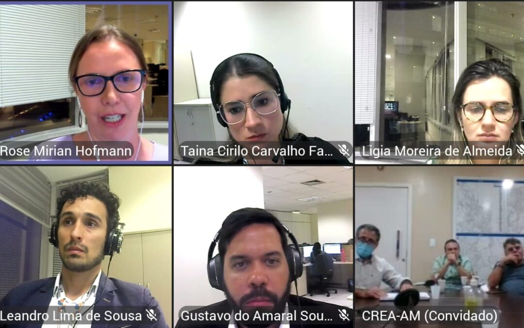 GT BR 319 realiza reunião virtual com a Secretária de Apoio ao Licenciamento Ambiental e à Desapropriação