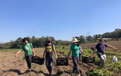 Comissão de Orçamento aprova mais recursos para fomentar agricultura