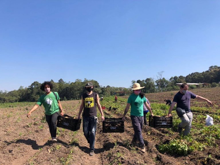 Comissão de Orçamento aprova mais recursos para fomentar agricultura