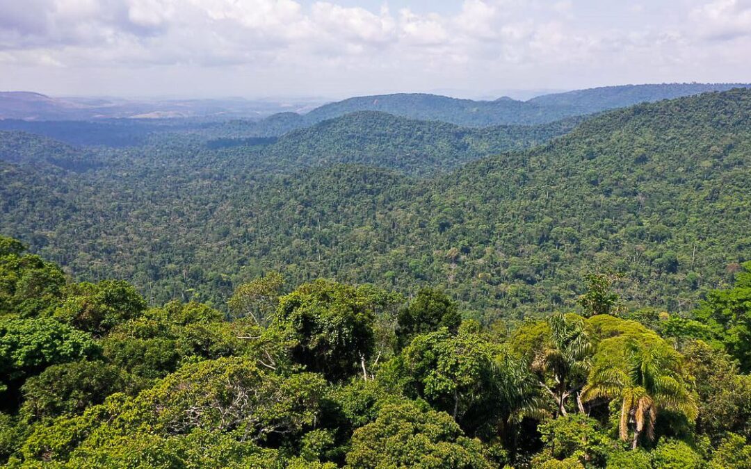 Governo cria Cédula de Produto Rural Verde