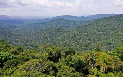 Governo cria Cédula de Produto Rural Verde