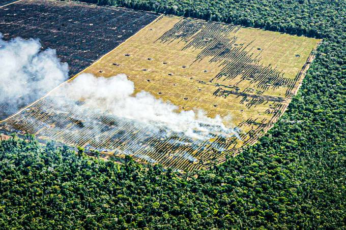 Economia pede ao Meio Ambiente para flexibilizar 14 regras ambientais