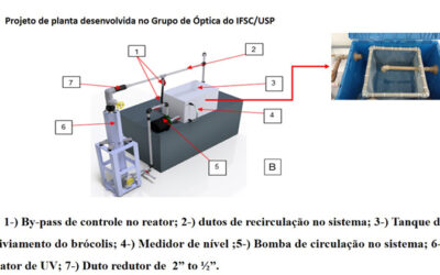 Reator utiliza luz ultravioleta para descontaminar vegetais