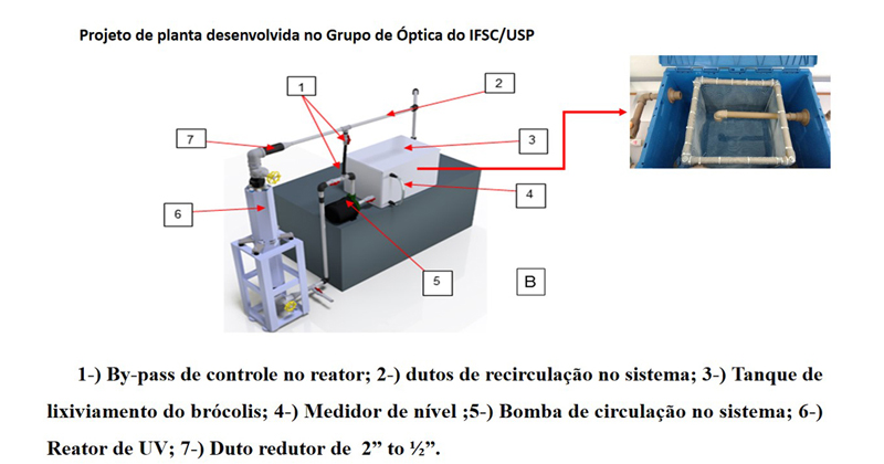 Reator utiliza luz ultravioleta para descontaminar vegetais