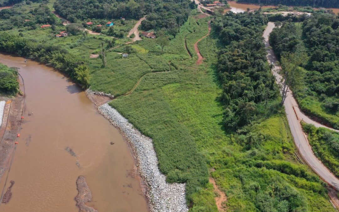 Animais silvestres estão retornando à região de Brumadinho