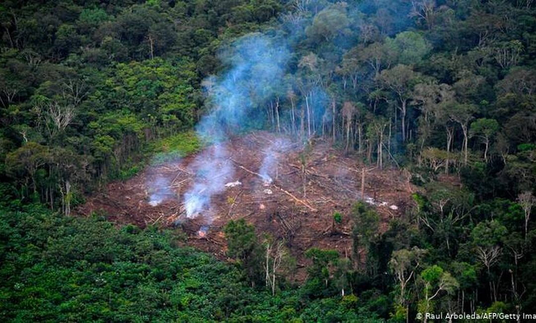 Desmatamento na Amazônia pode ter chegado a ponto irreversível, diz estudo
