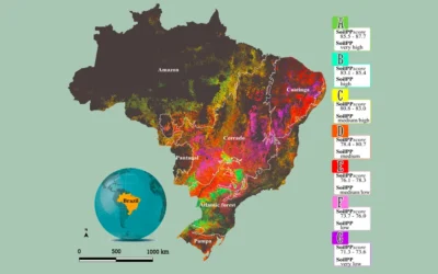 Método desenvolvido na USP calcula o potencial produtivo dos solos agrícolas nos municípios brasileiros
