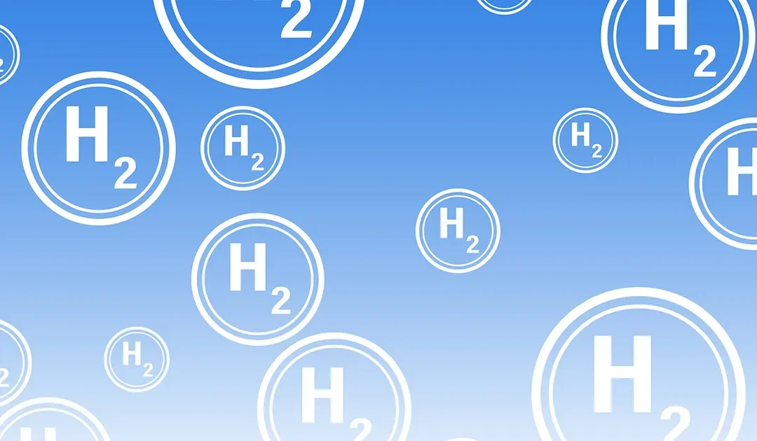 Novo estudo internacional revela enzima que converte ar em energia