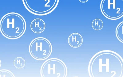 Novo estudo internacional revela enzima que converte ar em energia