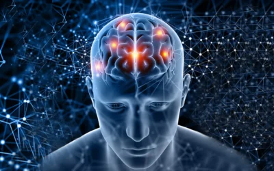 Estudo internacional revela como neurônios artificiais simulam habilidades cerebrais complexas