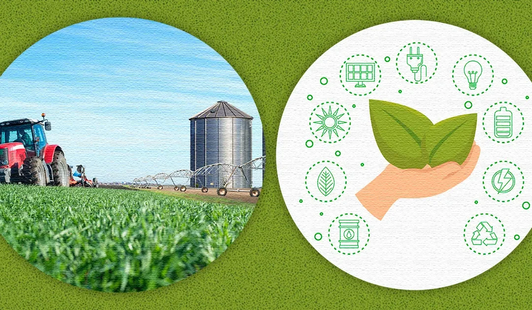 Produção sustentável do agronegócio: Brasil já avançou, mas ainda são necessárias mudanças