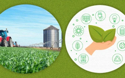 Produção sustentável do agronegócio: Brasil já avançou, mas ainda são necessárias mudanças