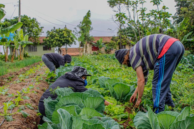 Lei prevê socorro de R$ 2.500 para agricultores familiares na pandemia