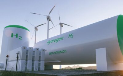 Projeto converterá gás metano dos resíduos animais em energia sustentável