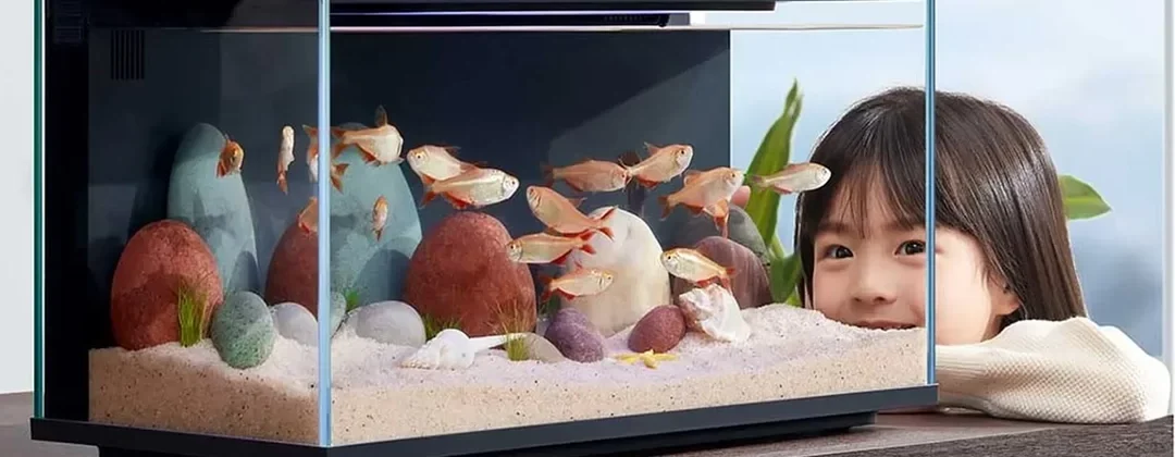 Novo aquário inteligente da Xiaomi alimenta peixes pelo celular