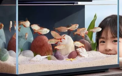 Novo aquário inteligente da Xiaomi alimenta peixes pelo celular