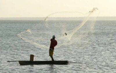 Mapa suspende mais 12,7 mil licenças de pescadores