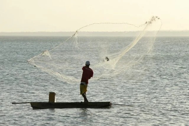 Mapa suspende mais 12,7 mil licenças de pescadores
