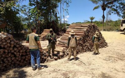 Comissão debate impacto da Taxa de Cobrança de Fiscalização Ambiental