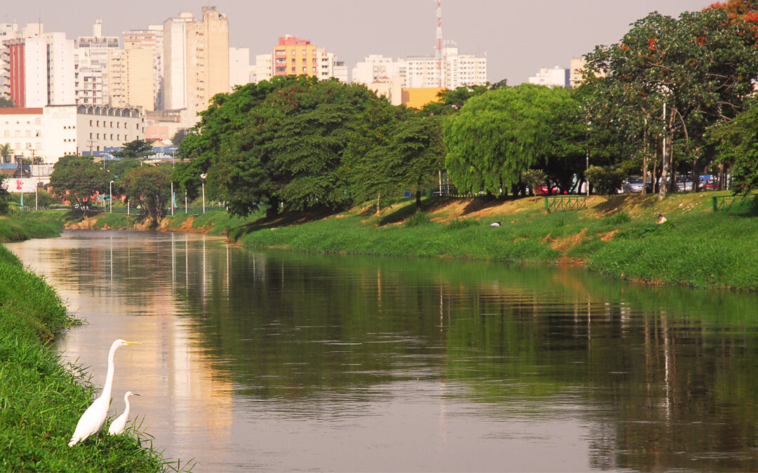 Projeto sobre edificações às margens de rios em áreas urbanas pode ser votado nesta quinta