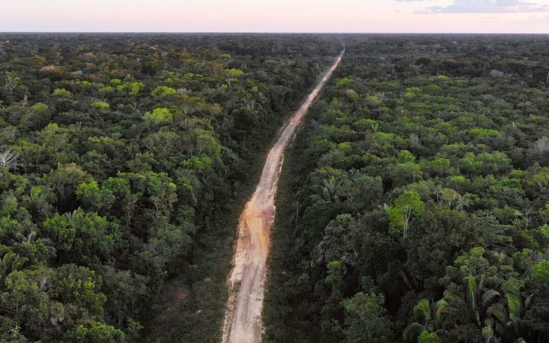 Ministério dos Transportes inclui BR-319 e 174 no plano de ações prioritárias