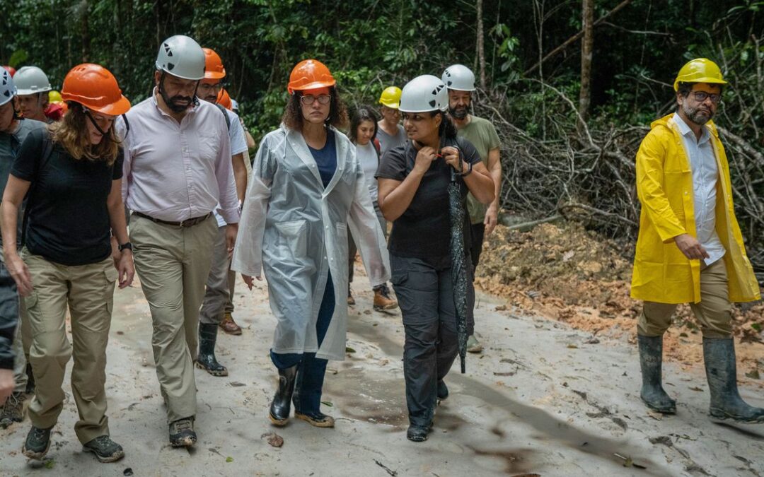 Brasil e Reino Unido anunciam aportes em projeto ambiental na Amazônia