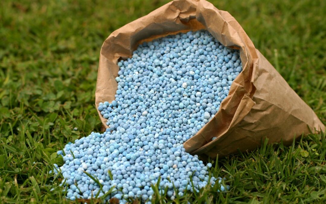Empresa de fertilizantes do Marrocos vai ampliar atuação no Brasil