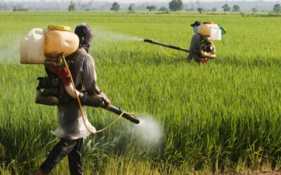 Comissão debate uso de defensivos agrícolas e direito humano à alimentação adequada