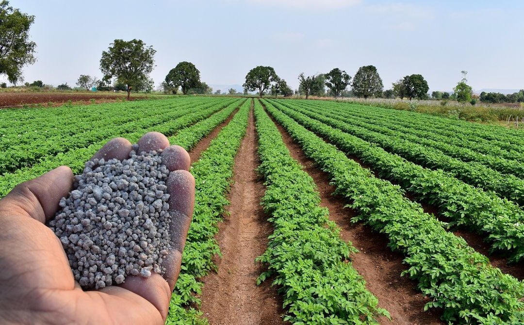 Plano nacional de fertilizantes será lançado este mês, diz ministra