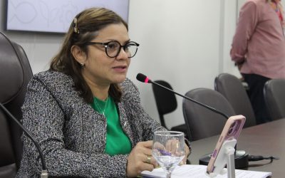 Balanço 2025: Crea-AM registra crescimento de 9,6% na emissão de ARTs