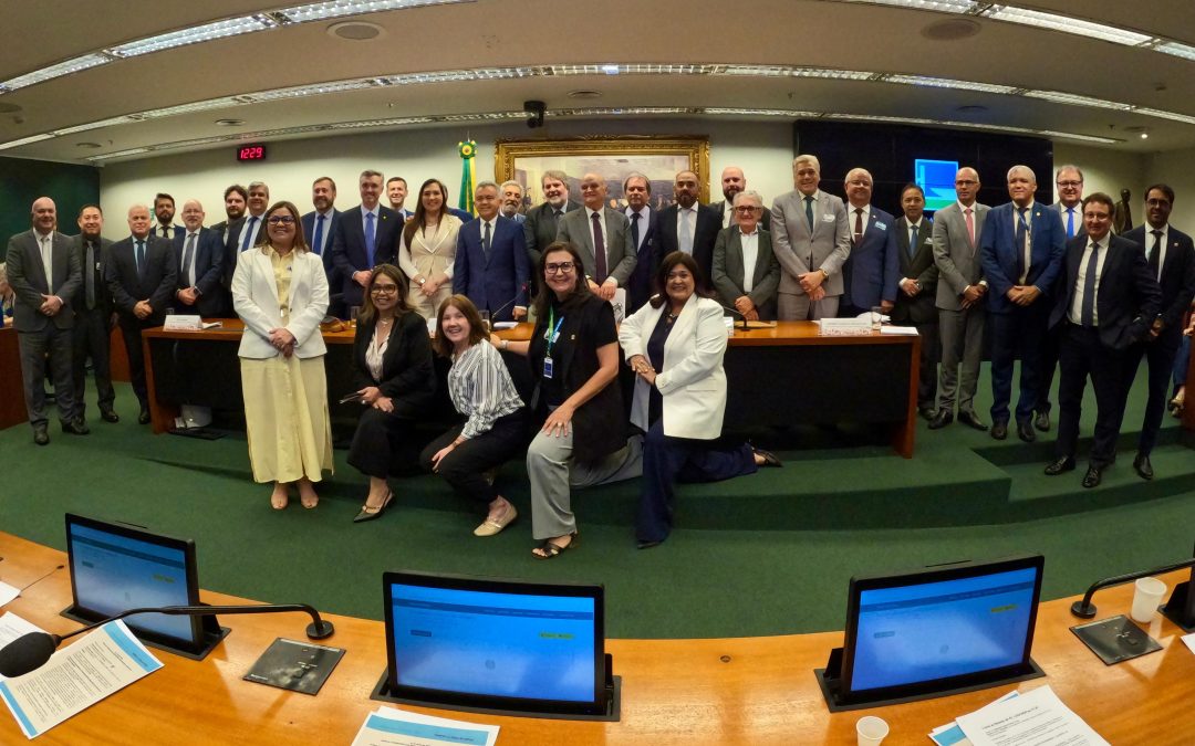 Presidente do Crea-AM, Alzira Miranda celebra aprovação de atualização da Lei da Engenharia na CCJ
