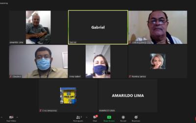 Câmara de Engenharia Elétrica e Segurança do Trabalho, de forma virtual, sua 183ª Reunião Ordinária
