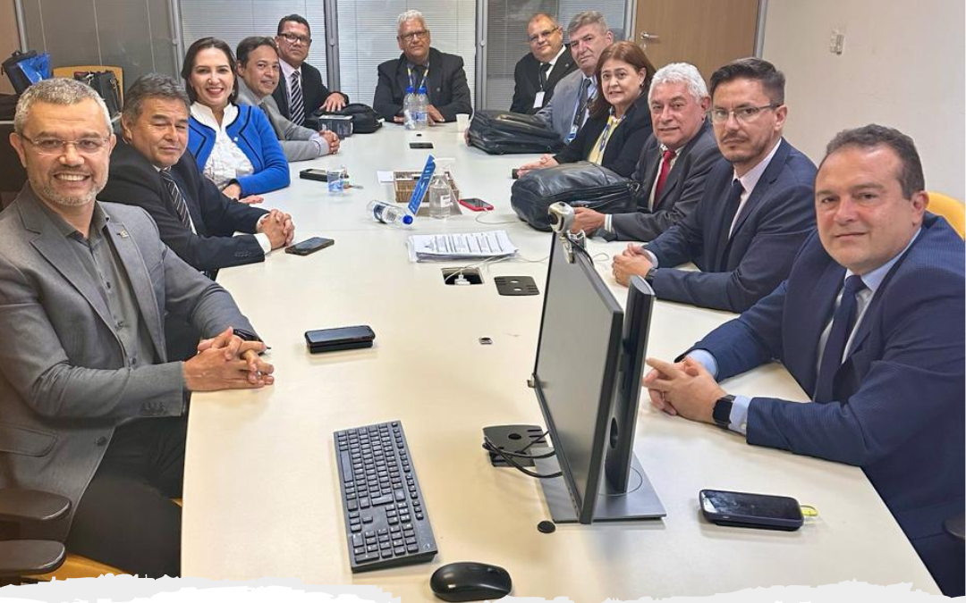 Presidente do CREA-AM, eng.civ.Afonso Lins Jr., participa de workshop promovido pelo CONFEA