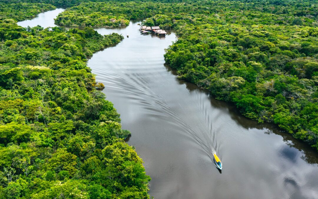 Fundo da Amazônia foi reestabelecido junto com o combate ao desmatamento