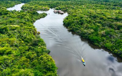 Fundo da Amazônia foi reestabelecido junto com o combate ao desmatamento