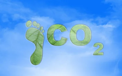 Engenheiros em Ação: Estratégias para diminuir a pegada de carbono