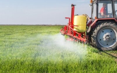 Brasil tem fertilizantes até outubro, garante ministra da Agricultura