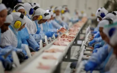 Agroindústria brasileira cresce pelo nono mês consecutivo