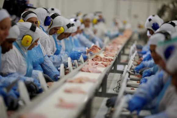 Agroindústria brasileira cresce pelo nono mês consecutivo