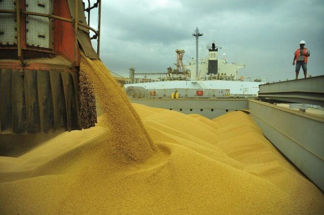 Anec eleva previsão de exportação de milho, soja e trigo em janeiro