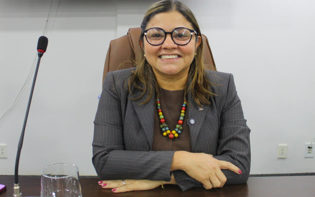 Presidente do Crea-AM articula com Ministério da Pesca o credenciamento de profissionais da área como vistoriadores de embarcações da pesca