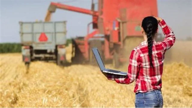 Pesquisa: 40% da mão de obra agrícola em países em desenvolvimento é feminina