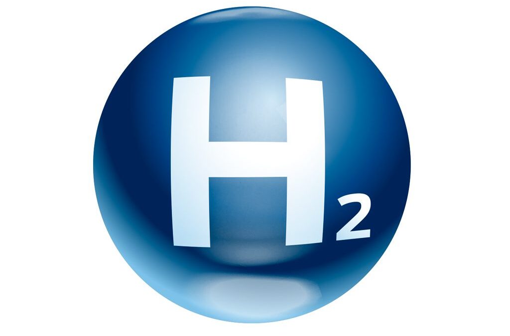 Novo estudo internacional revela enzima que converte ar em energia