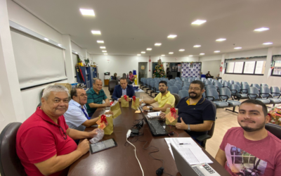 213ª Reunião Ordinária da Câmara Especializada de Engenharia Elétrica e de Segurança do Trabalho